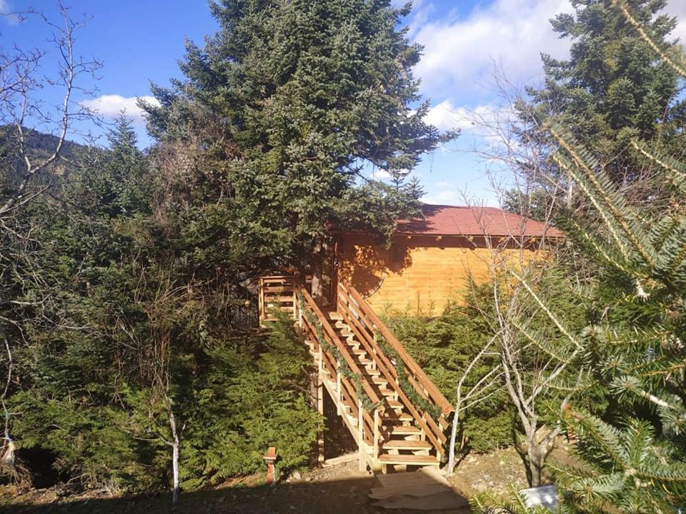 Kedra Village Exterior foto